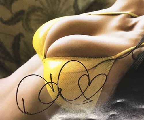 Harumi Nemoto autographed TV Asahi Angel Eye 2003 DVD - Picture 3 of 6