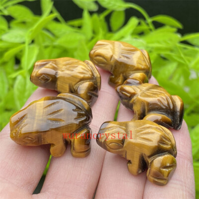 A+ Natural Tiger s eye jasper Quartz Animal Frogs Carved Mini point Healing 5pc