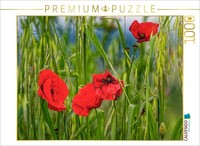 Calvendo Puzzle Poppies In The Tuscan Wind | 1000 Pieces, Finished Size 25.2 × 1