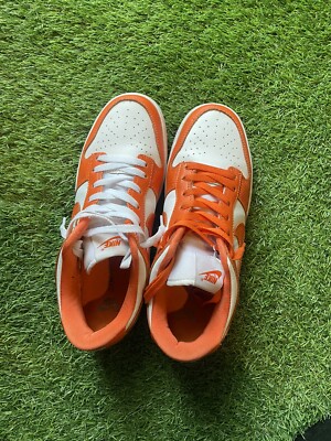 nike dunk syracuse 42