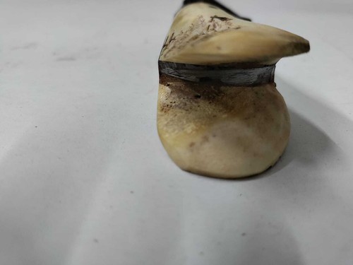 Khanjar 1911 BUCK Antler DAGGER Antique Vintage Hilt Rare Collectible - Picture 5 of 8