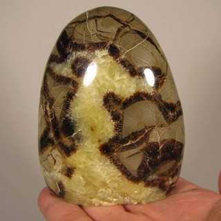 3.7" SEPTARIAN Polished Freeform Standup Stone Madagascar 1 lb.