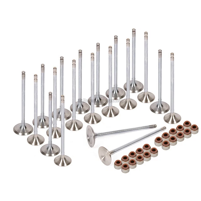 Se adapta a 92-98 Acura Vigor TL 2,5 L SOHC Válvulas de escape Sellos de vástago G25A1 G25A4 Foto 2 de 4