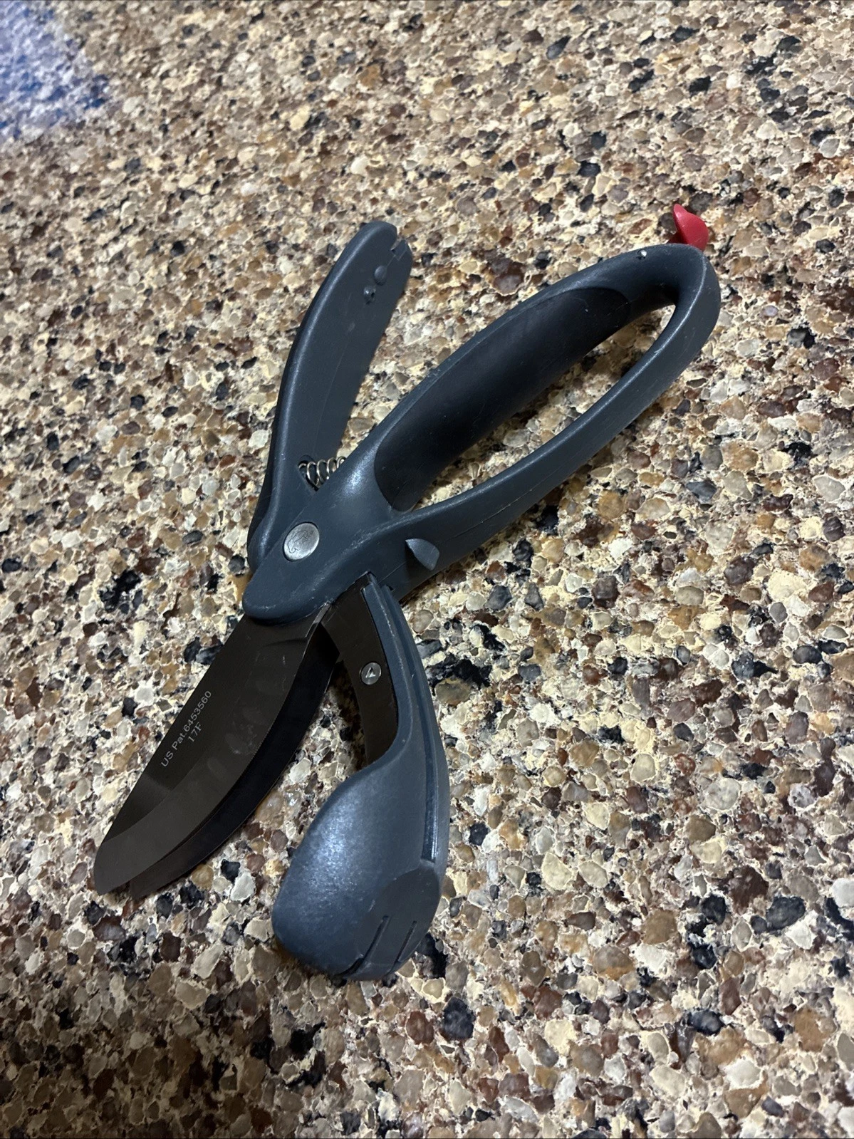 Pampered Chef Salad Chopper #2582 Double Bladed Herb Cutting Scissors Shears EUC
Opens in a new wind