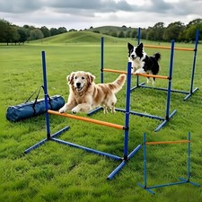 Zousiv Adjustable Dog Agility Jump Set for Training, Durable Hurdle Bar Equip...