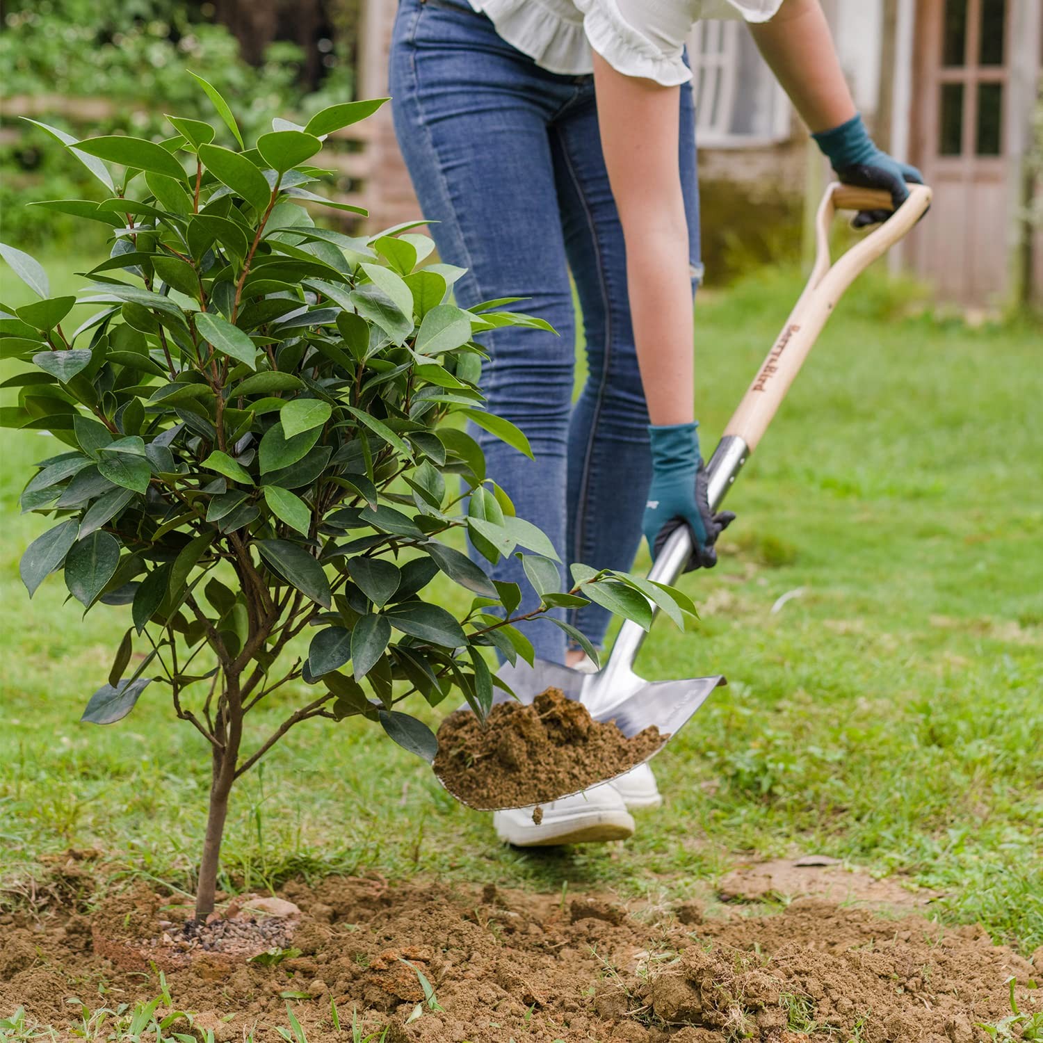 Berry&Bird Round Point Gardening Shovel with Wood D-Handle, 40.98" Stainless ...
