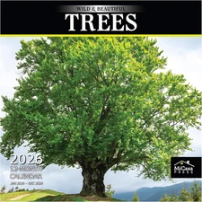 Wild & Beautiful Trees 2026 Wall Calendar 12 Month | 12" X 24" Open |