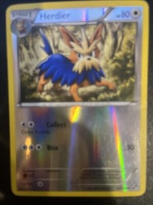 Pokemon Herdier - 82/114 - Uncommon - Reverse Holo Black and White
