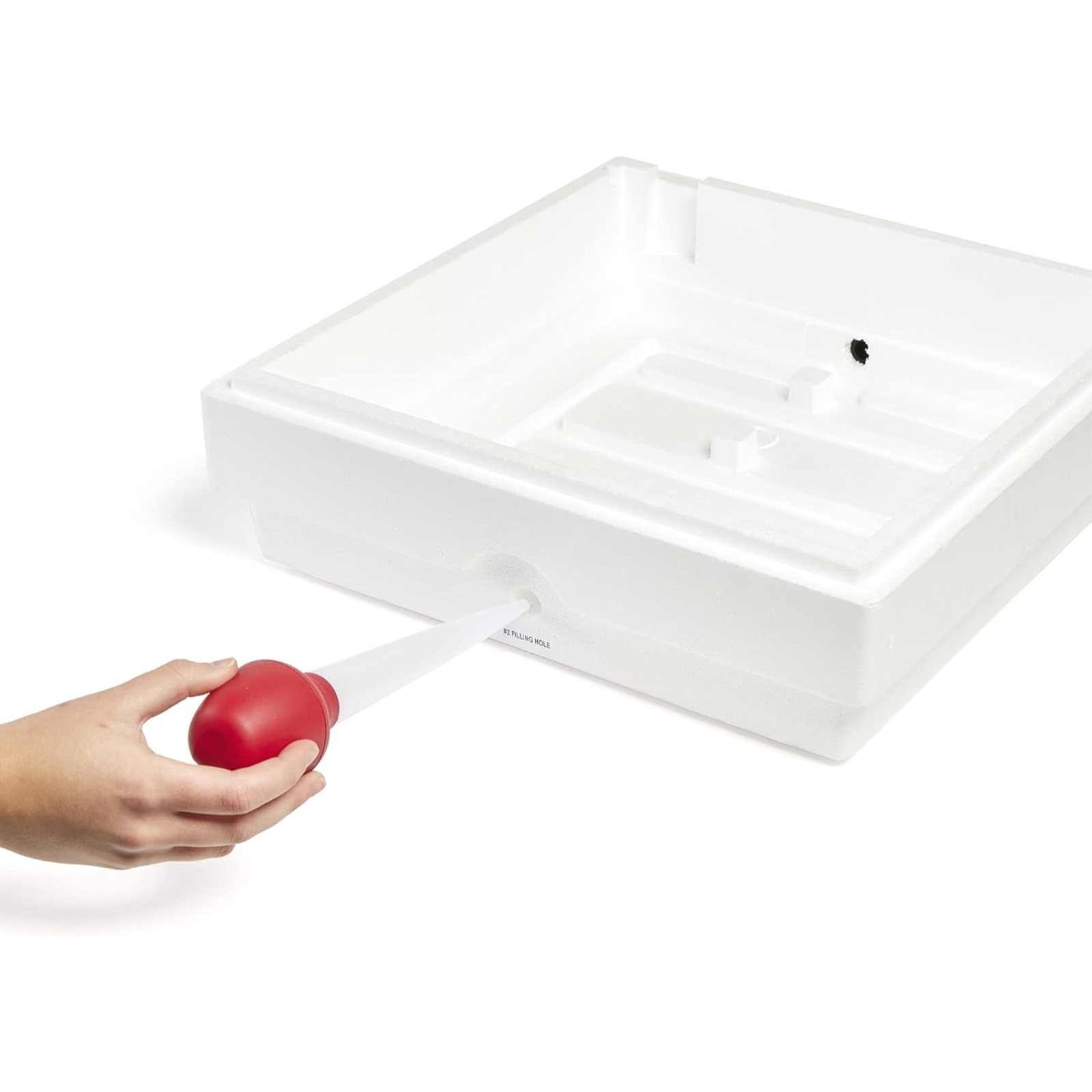 Farm Innovators Heated Display Still Air Incubator for 4 Dozen Eggs