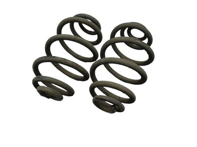 Federsatz Feder Federn Hinten für VW PASSAT VARIANT (3B6) 1.9 TDI