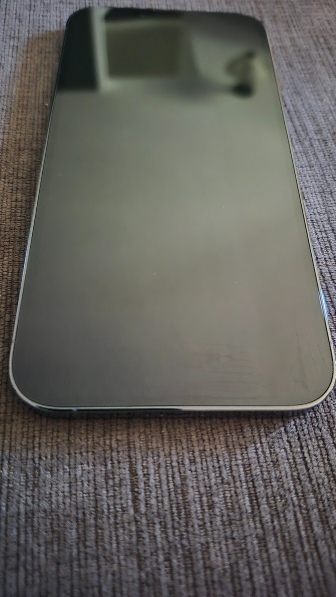 Apple iPhone 13 Pro Max - 1 TB - Sierra Blue (CA) | eBay