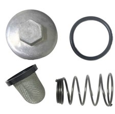 TaoTao Raptor 200/ G200/ TM200,  Engine Oil Filter Kit