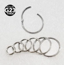 G23 Titanium Hinged Seamless Segment Ring Nose Hoop Earring Labret Septum Ring