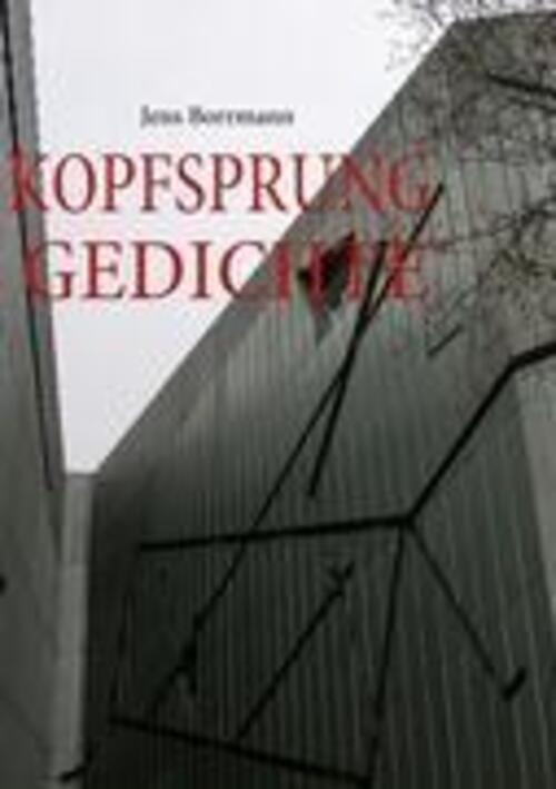 Thumbnail - Kopfsprung Jens Borrmann Taschenbuch Paperback 128 S. Deutsch 2009