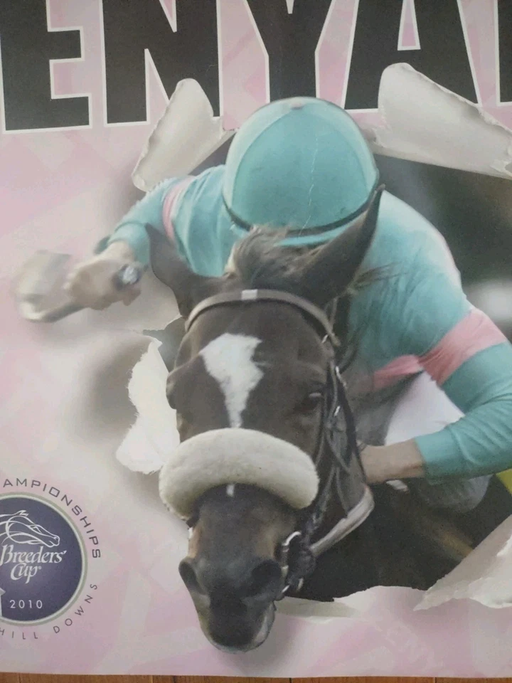 Póster ZENYATTA - 2010 Breeders Cup @ Churchill Downs  Foto 3 de 4