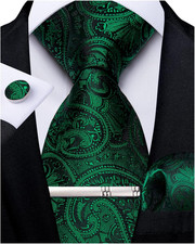 Paisley Ties for Men Silk Necktie and Pocket Square Cufflinks Tie Clip Set Woven
