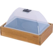 Propagateur Mini Serre Maison Midi Bois Avec Klimahaube Queltabs