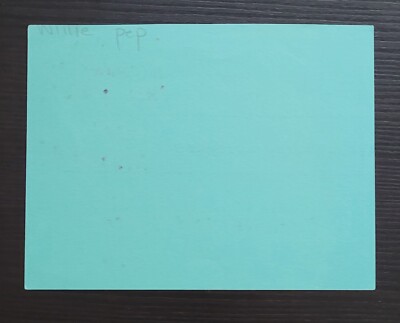 WILLIE PEP BOXER CHAMPION AUTOGRAPH BIO SHEET FILLED IN SIGNED