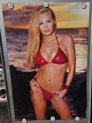 Cindy Margolis Poster 2000 Vintage Pinup Red Bikini 21.75x33.75 1908 At A Glance