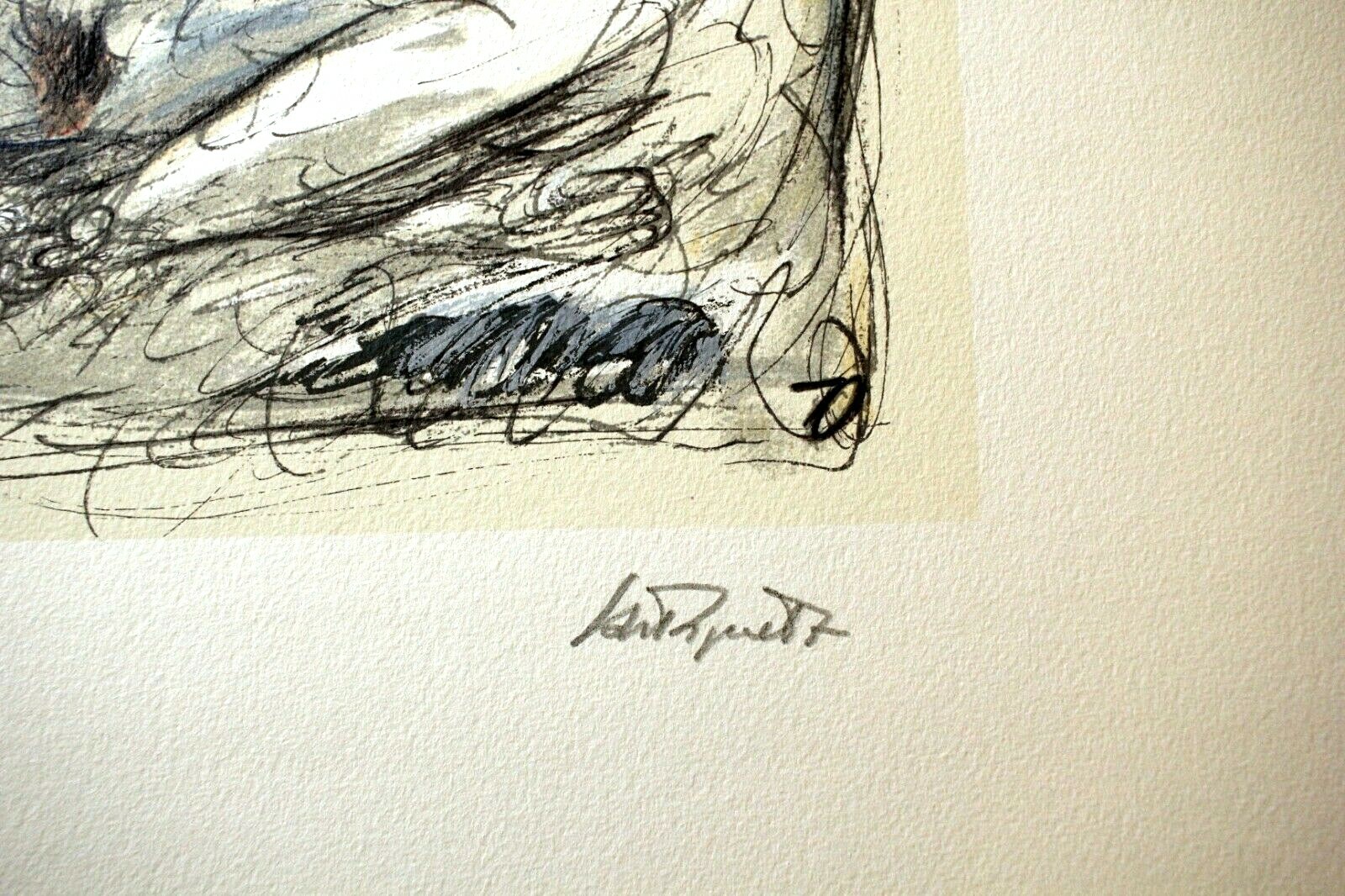 Foto 6 di 9