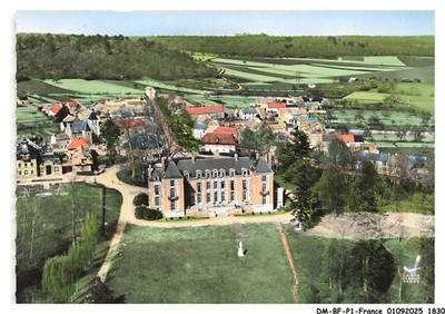 DM-BFP1-0917-91 - FONTENAY-LES-BRIS - En avion au-dessus - Le chateau