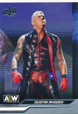 #3 DUSTIN RHODES 2024 Upper Deck AEW Wrestling