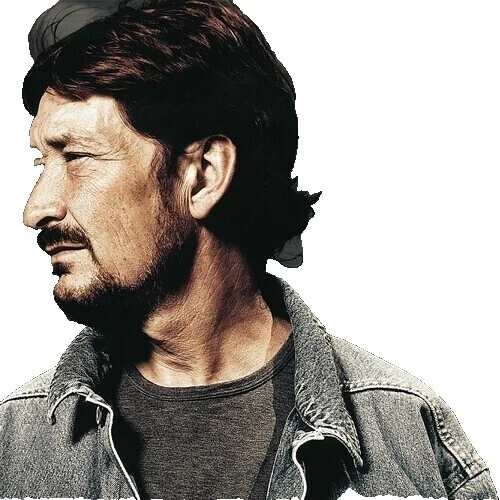 Chris Rea 摇滚乙烯唱片