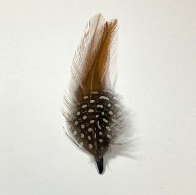 Cappello Da Cowboy Con La Banda E Le Piume Del Cappello Della Pelle Bovina 76490575 - Foto 12