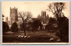 Vintage Ely Cathedral South View Postcard by Photochrom Co. Ltd.
