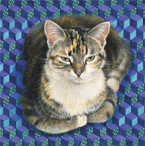 Sheena - Fine Art Blank Greeting / Birthday Card - Tabby Tortoiseshell Cat Cats