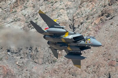 USAF 194TH FIGHTER SQ-194 FS-F-15-GRIFFIN EAGLE DRIVER-Fresno ANGB