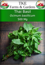 - Thai Basil Seeds for Planting, 500 Non-Gmo Heirloom Seeds, Easy-To-Grow Herb,