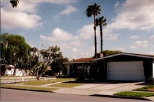 VTG Found Photo Suburb California Palm Street TP Toilet Paper Prank House Funny