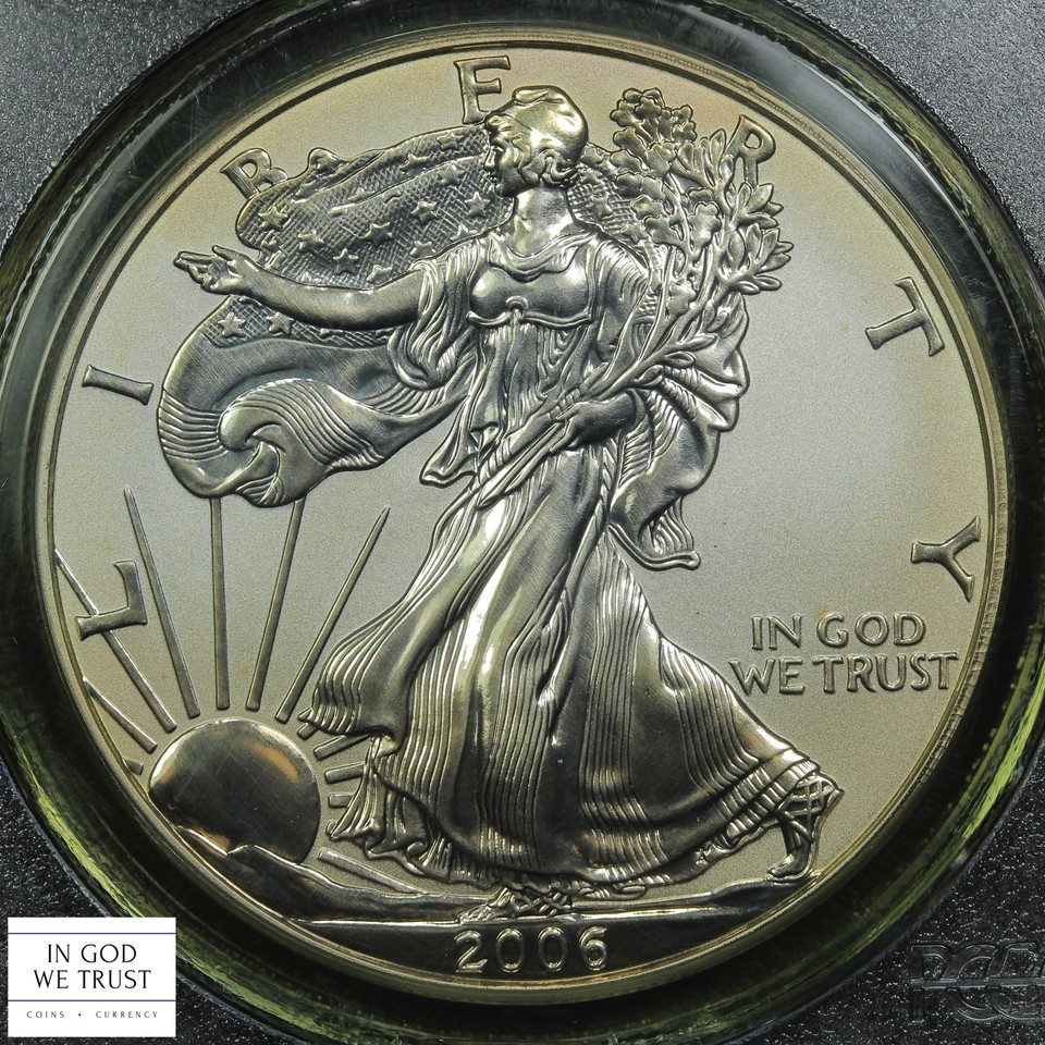 2006 P Reverse Proof 20th Anniversary American Silver Eagle ASE $1 PCGS ...