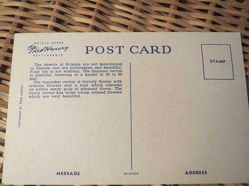 Lot 2 Vintage Linen Southwestern Unposted Postcards #2821 - Picture 8 of 8