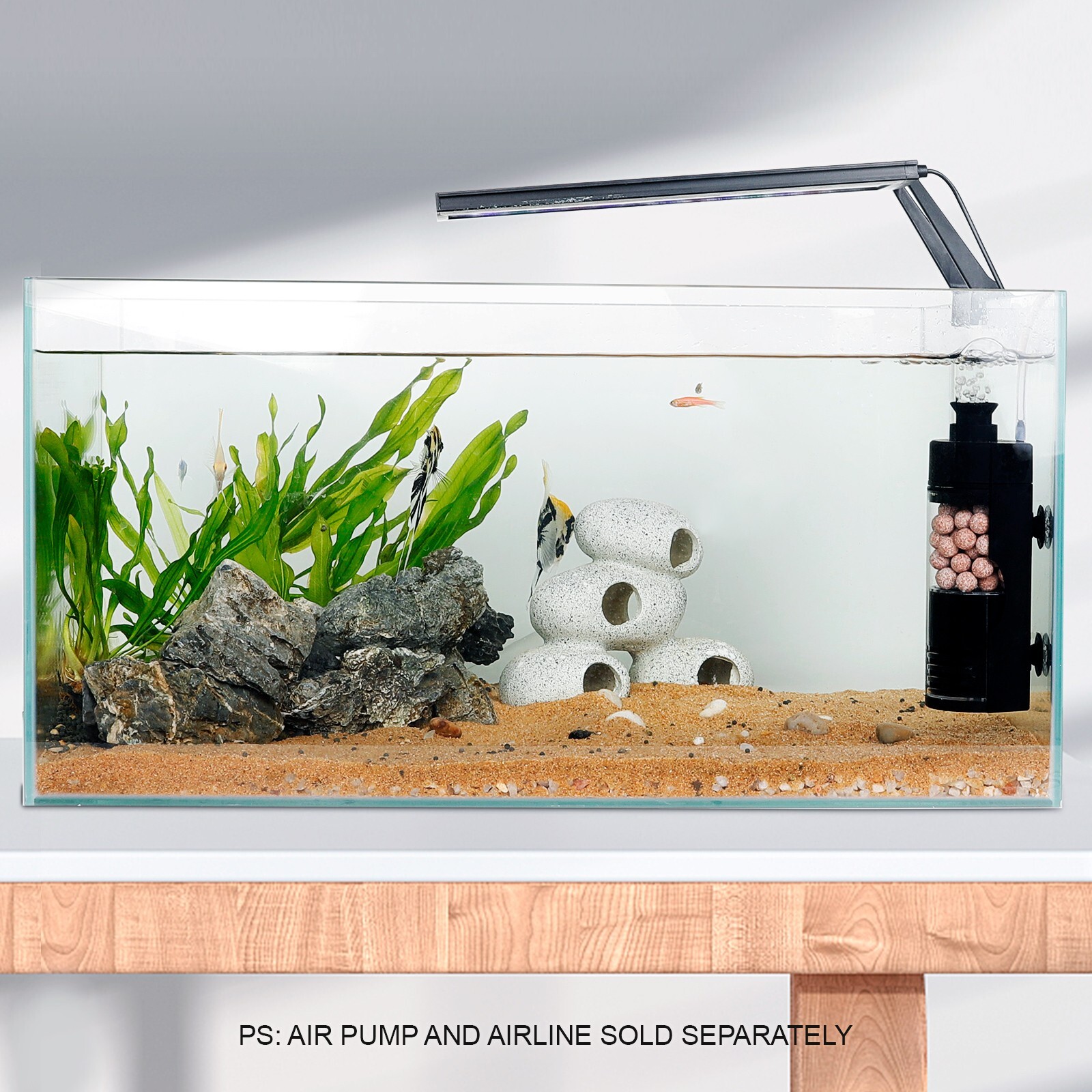 Betta Fry Baby Shrimp For Betta Sponge Filter 20+ Gallon Fish Tank