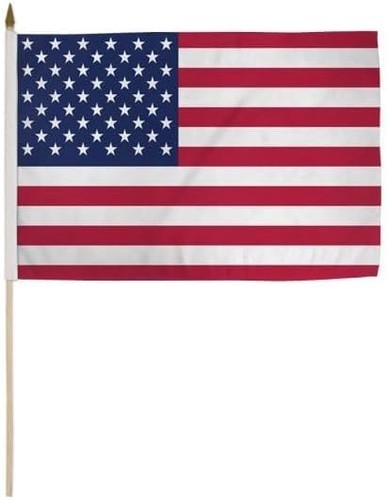 Bandiera Del Movimento Indiano Americano In Proporzioni E Colori