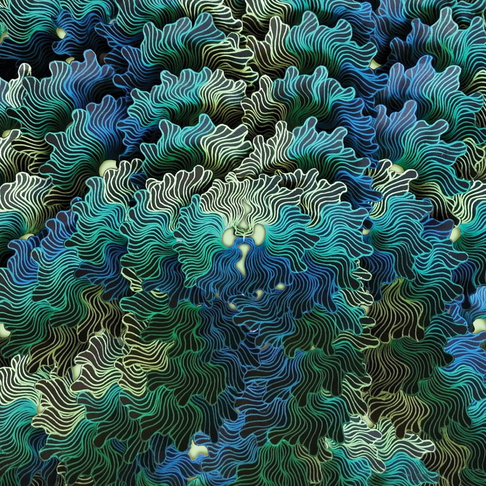 Альбом IzangMa Ngo Ma (CD)