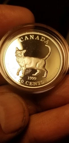 Canada 1999 50 Cents Gem Proof Silver Coin Tonkinese Cats Of Canada Idrs1