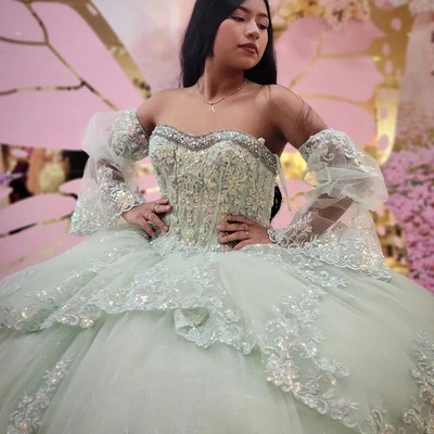 quinceanera dresses mint green Customized(can Not Refund) Mint Green Quinceanera Dresses Ball Gown Off The Shoulder Tulle Appliques Sweet 16 Dresses 15 Aos Mexican