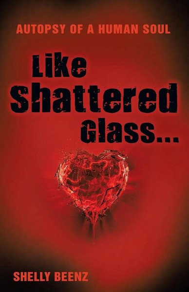 Shellybeenz | Like Shattered Glass... | Taschenbuch | Englisch (2013)-image
