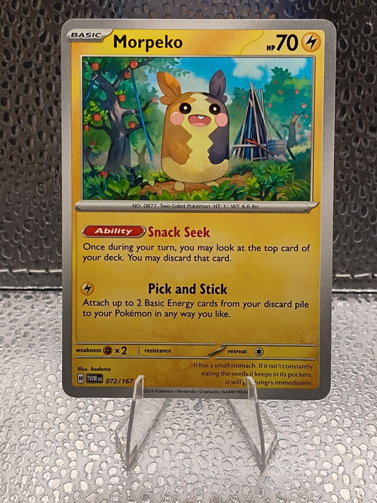 Morpeko 072 / 167  Pokemon SV Twilight Masquerade 2024  Near Mint  