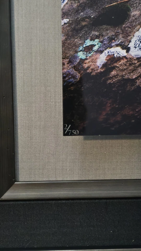 FIRMADO Michael Fatali Cibachrome Foto Impresión 2/750 Otoño Sión Paisaje Foto 3 de 4