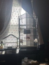 Parakeet: Bird Cage/ Travel Cage/ All Accessories/ Food/ Bird