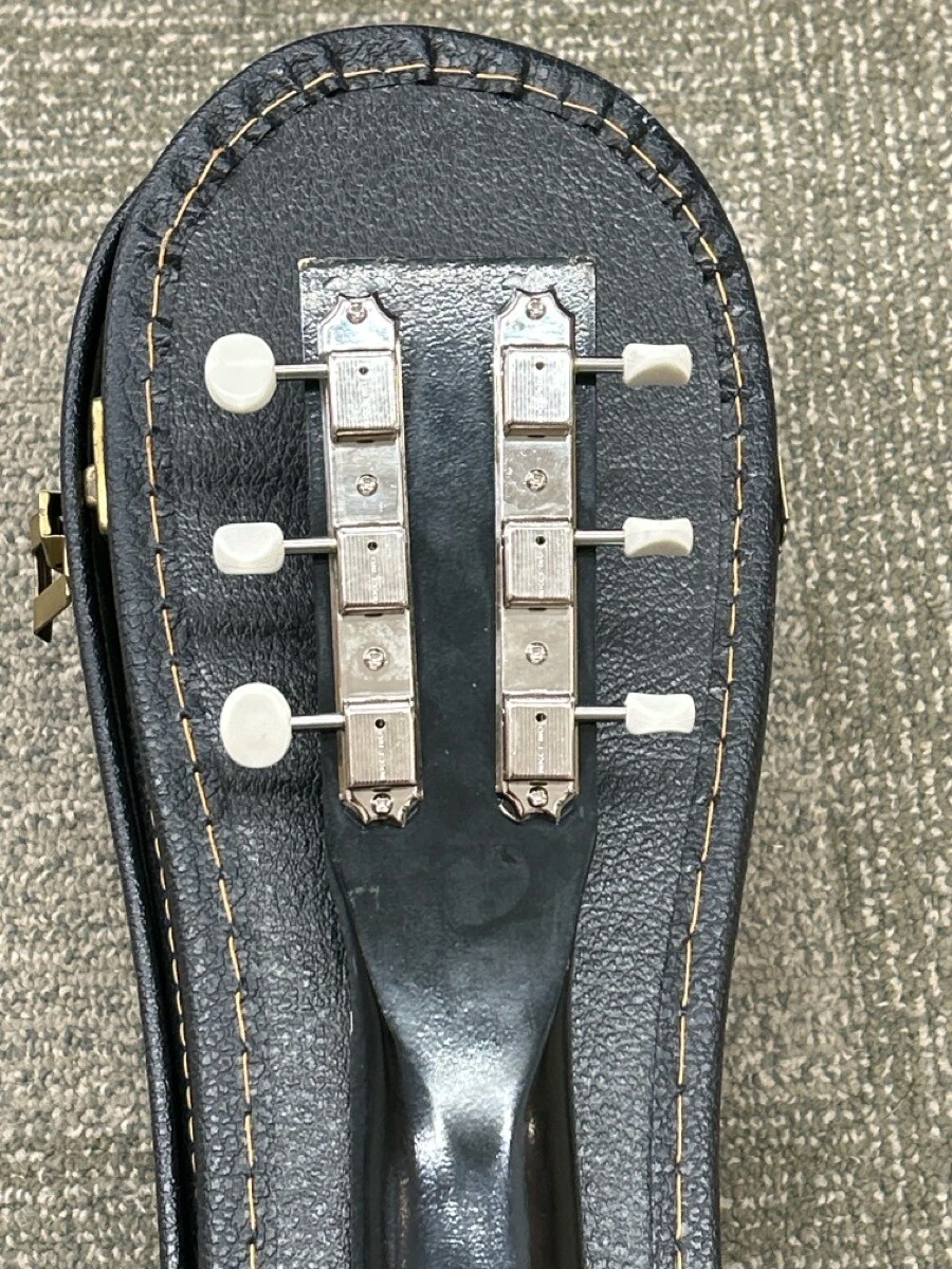 Picture 6 of 9