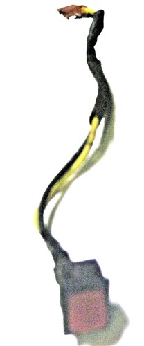 すうぃっち New Craftsman OEM N807780 Switch Sa | eBay