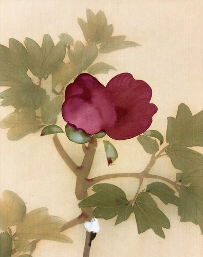 Traditional Japanese Hanging Scroll Kakejiku peony - Imagen 8 de 14