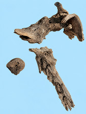 Driftwood 3 Piece Bundle, Natural Freshwater, Weathered, Rustic