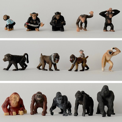 Schleich Affen Schimpanse Gorilla Mandrill Pavian Orang Utan Gibbon Sammlung