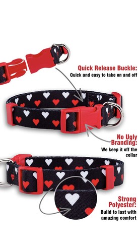 native pup valentines day dog collar large new with tags - Picture 7 of 8